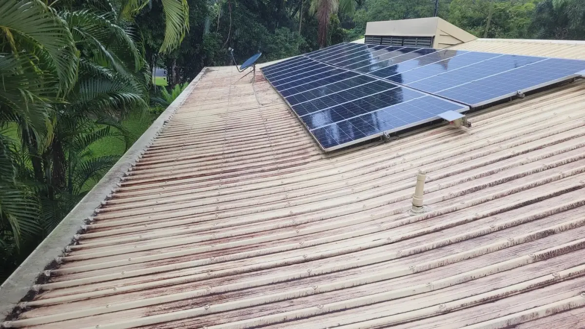 Roof covered in black mould before cleaning